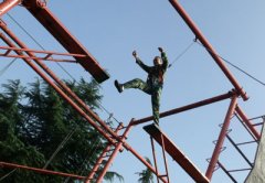 ����ԱNE��չѵ���γ�