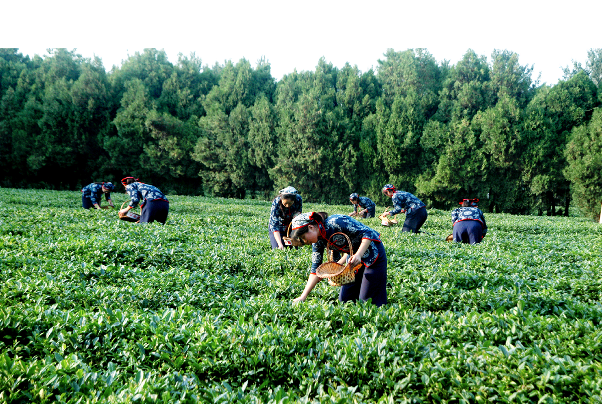 �������ظ�������չ��ѵ����